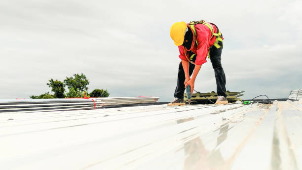 Best Hot Roofs  in Woodbury, MN